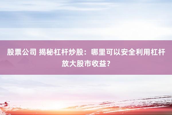 股票公司 揭秘杠杆炒股：哪里可以安全利用杠杆放大股市收益？