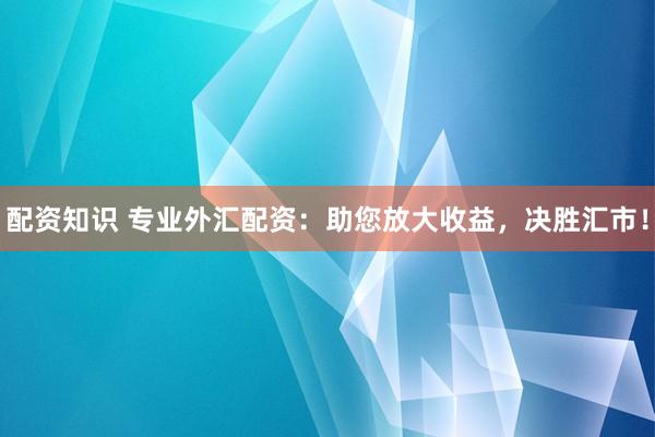 配资知识 专业外汇配资：助您放大收益，决胜汇市！