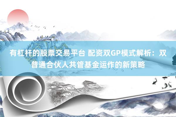 有杠杆的股票交易平台 配资双GP模式解析：双普通合伙人共管基金运作的新策略