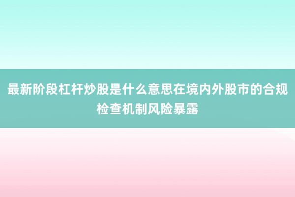 最新阶段杠杆炒股是什么意思在境内外股市的合规检查机制风险暴露