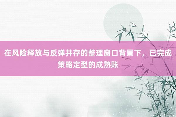 在风险释放与反弹并存的整理窗口背景下，已完成策略定型的成熟账