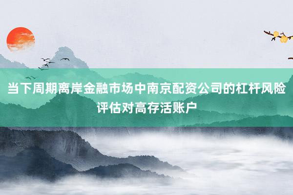当下周期离岸金融市场中南京配资公司的杠杆风险评估对高存活账户