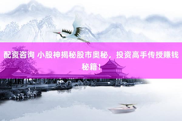 配资咨询 小股神揭秘股市奥秘，投资高手传授赚钱秘籍！