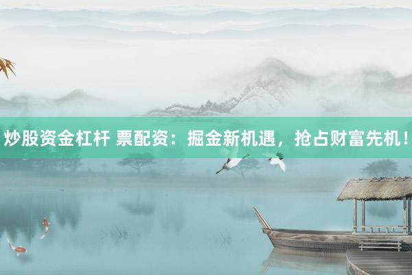炒股资金杠杆 票配资：掘金新机遇，抢占财富先机！